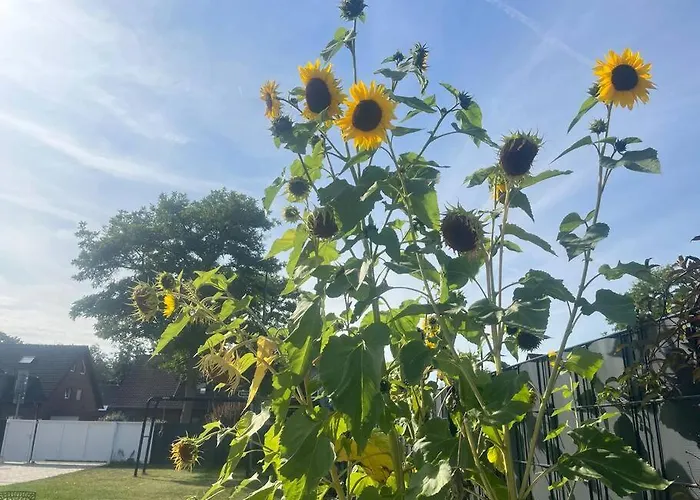 Noah's House - Messe And Airport Villa