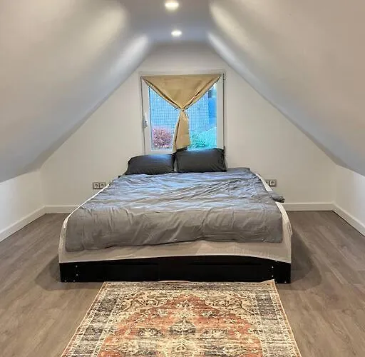 Noah's House - Messe And Airport Villa Dusseldorf