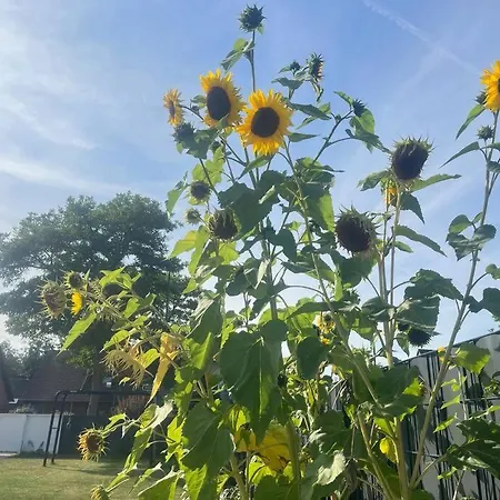 Noah's House - Messe And Airport 别墅